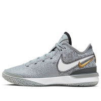 Nike Zoom LeBron Nxxt Gen EP 'Wolf Grey Metallic Gold' DR8788-004