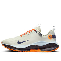 Nike ReactX Infinity Run 4 GTX Shoes 'Beige Sea Glass' FB2204-002