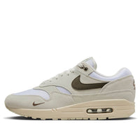 Nike Air Max 1 'Ironstone' DZ4494-100