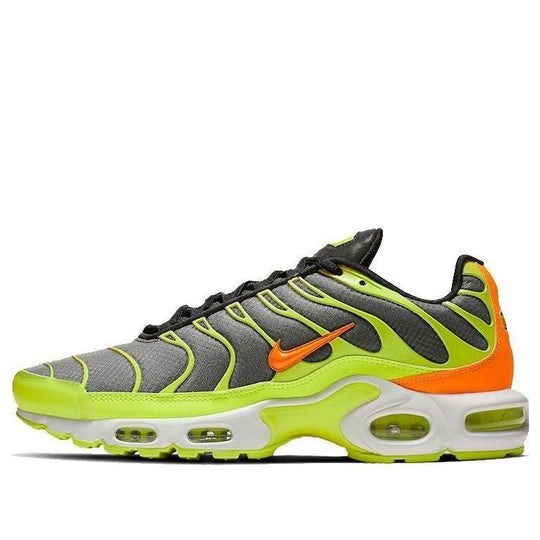 Nike Air Max Plus 'Color Flip' CI5924-061