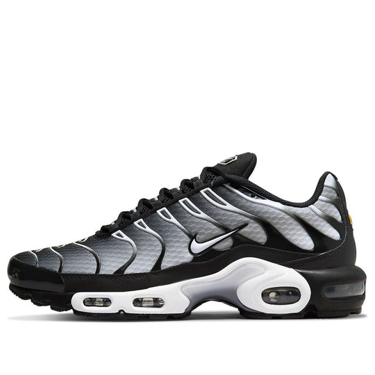 Nike Air Max Plus 'Black Metallic Silver' DM0032-003