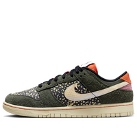 Nike Dunk Low 'Rainbow Trout' FN7523-300