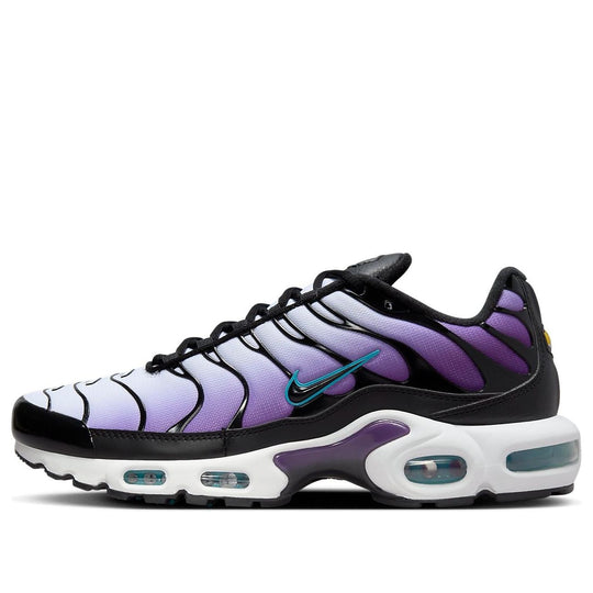 Nike Air Max Plus 'Reverse Grape' FQ2415-500