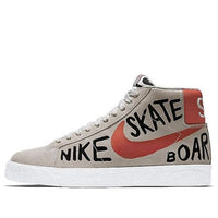 Nike Blazer SB Premium SE 'Geoff McFetridge' 819861-188