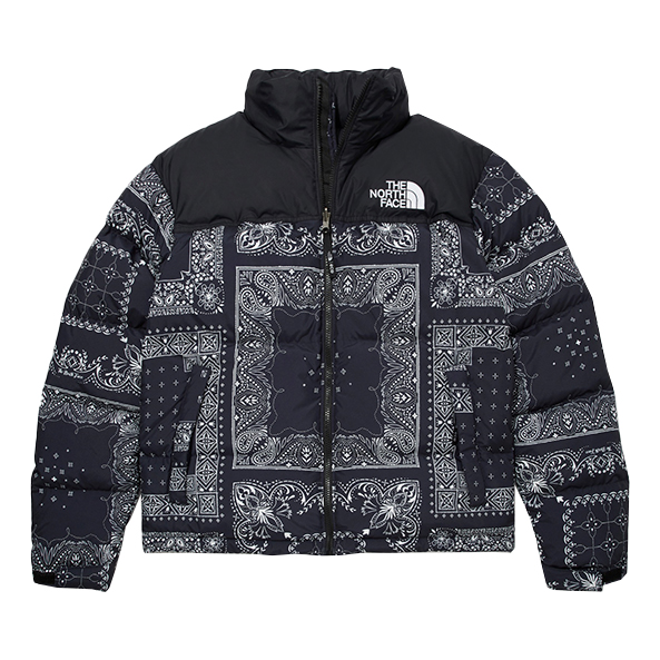 THE NORTH FACE 1996 Noobsy Nuptse Jacket NJ1DM96B