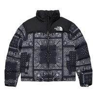 THE NORTH FACE 1996 Noobsy Nuptse Jacket NJ1DM96B