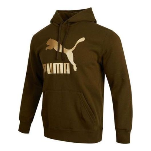 PUMA Classics Metallic Regular Fit Hoodie 'Brown' 537678-62
