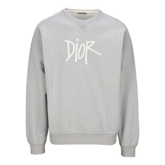 Men's DIOR Graffiti Signature Printing Loose Gray 033J604B-0531-800