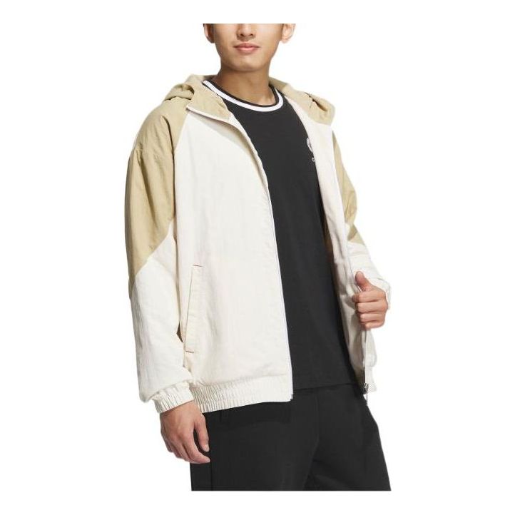 adidas neo Jacket IQ1577