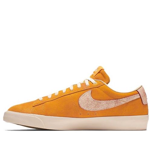 Nike Blazer Low SB GT 'Home State Georgia' 716890-816