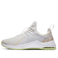 (WMNS) Nike Air Max Bella TR Trainer 3 Premium Training Shoe CV0195-100