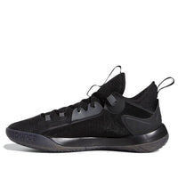 adidas Harden Stepback 2 'Black' FZ1075