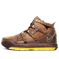 Nike Zoom LeBron 3 'Birthday Edition' 312147-221