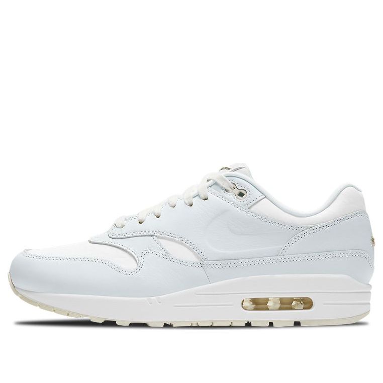 Nike Air Max 1 'Asparagus' DH5493-100