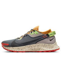 Nike Pegasus Trail 2 GTX 'Smoke Grey Bucktan' CU2016-002