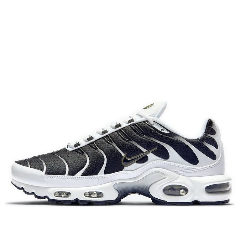 Nike Air Max Plus 'Black White' CT1094-102