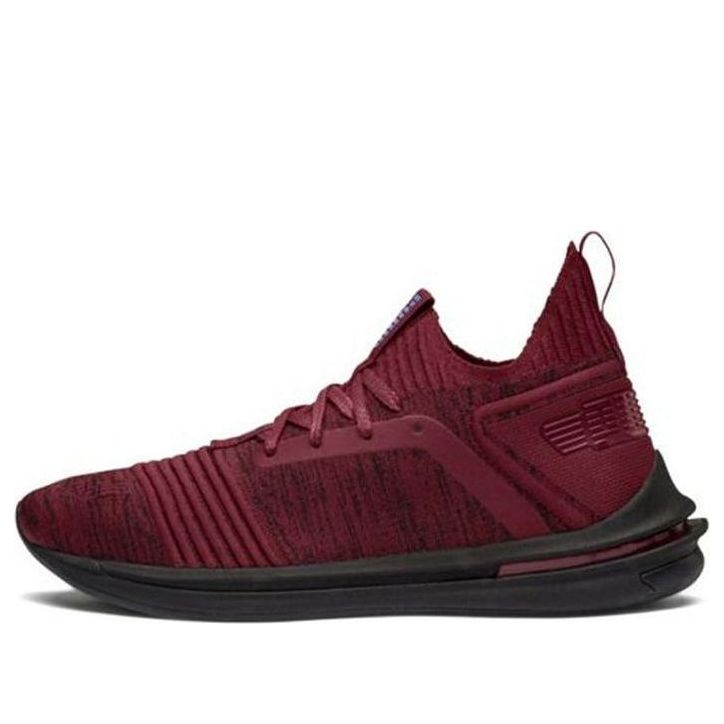 PUMA Ignite Limitless Sr Evoknit Low Top Running Shoes Red 190484-08