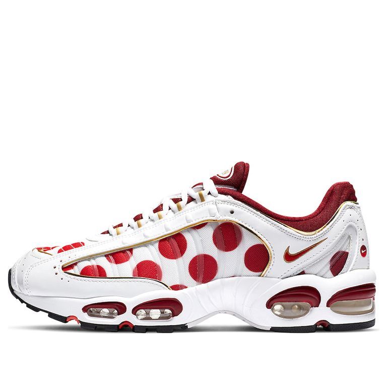 Nike Air Max Tailwind 4 'Nippon' CW4810-167