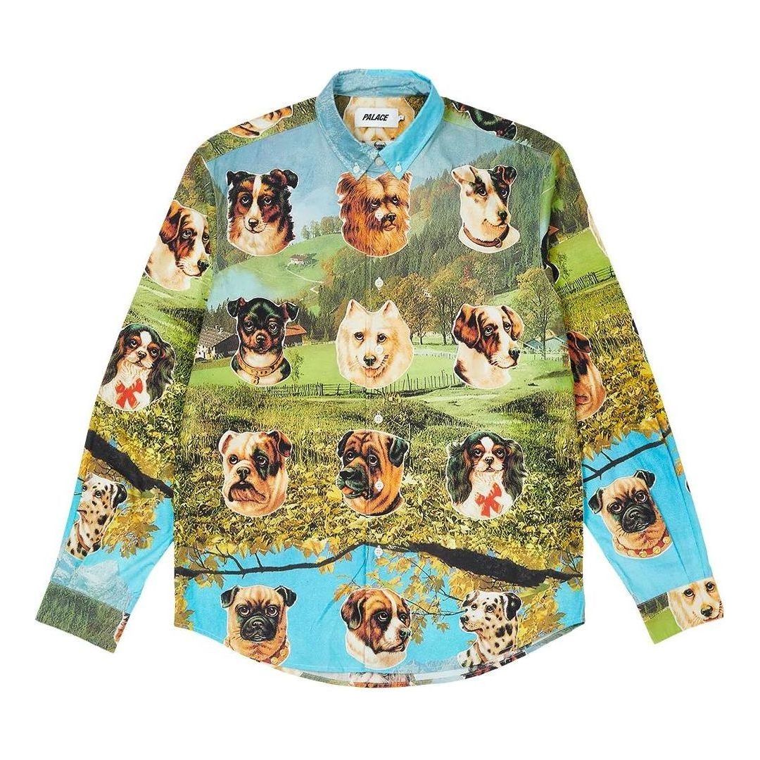 Palace FW22 Place Payne Shirt 'Multicolor' P23SHT059