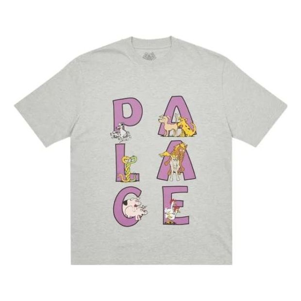 Palace FW22 Session T-Shirt 'Grey' P23TS056