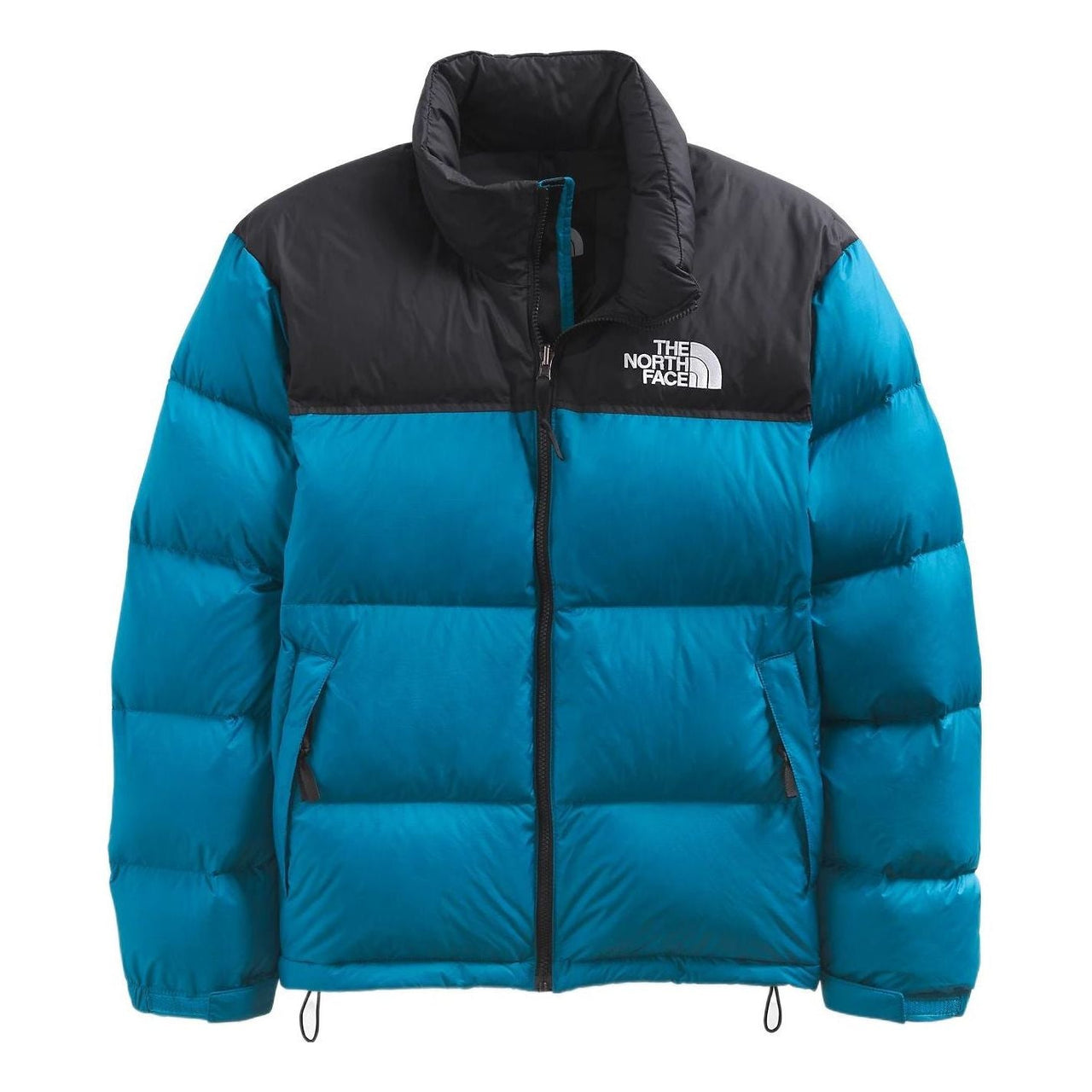 THE NORTH FACE 1996 Retro Nuptse 700 NF0A3C8D-M19