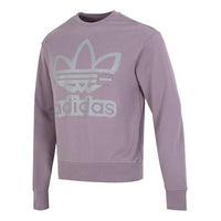 adidas originals Adicolor Crew Sweatshirt HS1997