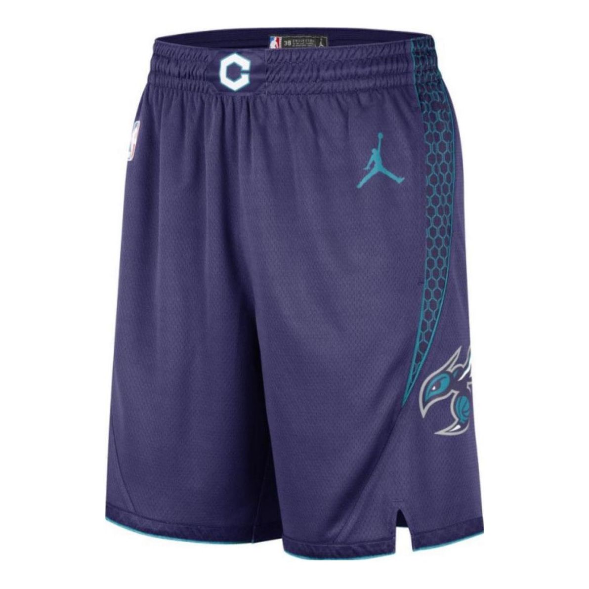 Air Jordan Charlotte Hornets NBA Shorts 'Purple' DO9425-566