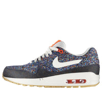 (WMNS) Nike Air Max 1 'Liberty' 528712-400