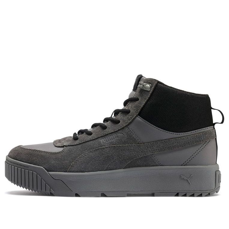 PUMA Tarrenz SB Sneakers Grey 370551-03