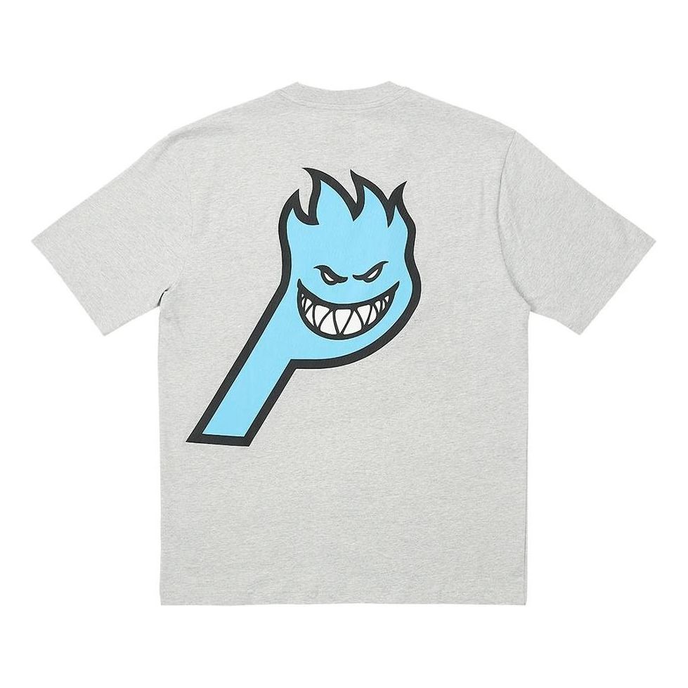 Palace x Spitfire P-Head T-Shirt 'Grey' P24STS002