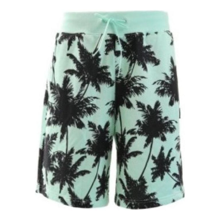 PUMA Palm Tree Short 'Teal' 578258-34