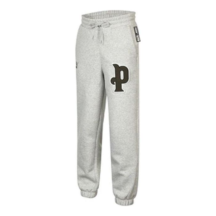 PUMA Team Sweatpants 'Grey' 536183-04