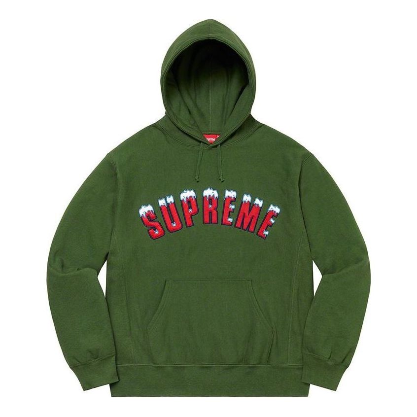 Supreme FW20 Week 1 Icy Arc Hoodie 'Olivegreen' SUP-FW20-004