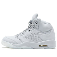 Air Jordan 5 Retro Premium 'Pure Platinum' 881432-003