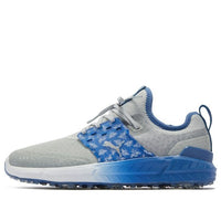PUMA Ignite Articulate Pollination 'Gray Blue' 376413-01