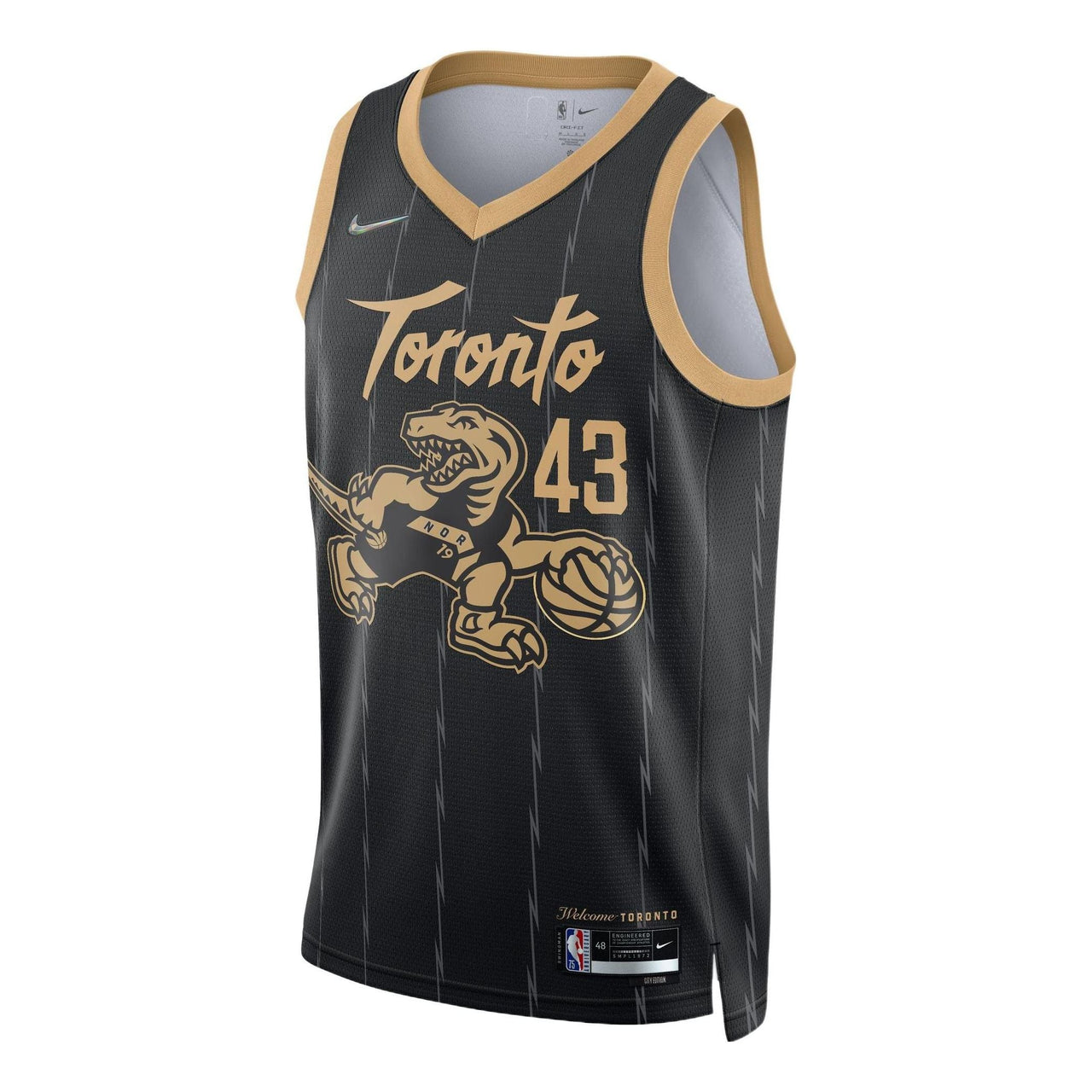 Nike x NBA Toronto Raptors City 20-21 Edition Jersey 'Pascal Siakam 43' DB4046-010