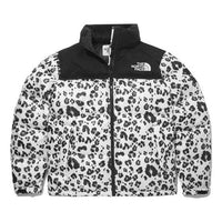 THE NORTH FACE Novelty Nuptse NJ1DM50L