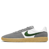 Nike Team Classic SB 'Particle Grey Forest Green' AH3360-016