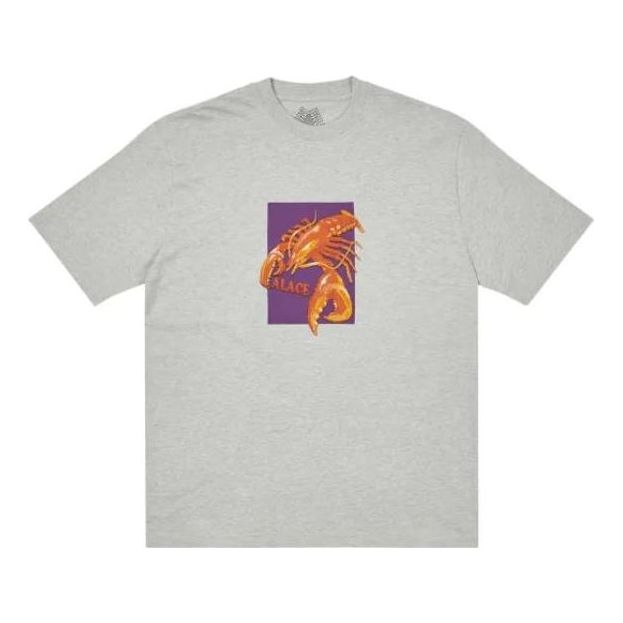 Palace FW22 Thermadore T-Shirt 'Grey' P23TS070