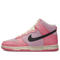 (WMNS) Nike Dunk High 'Hoops Pack' DX3359-600