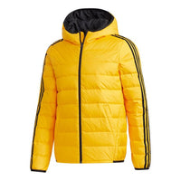 adidas neo M 3s Lwd Puff Sports hooded down Jacket Gold Color GJ8787