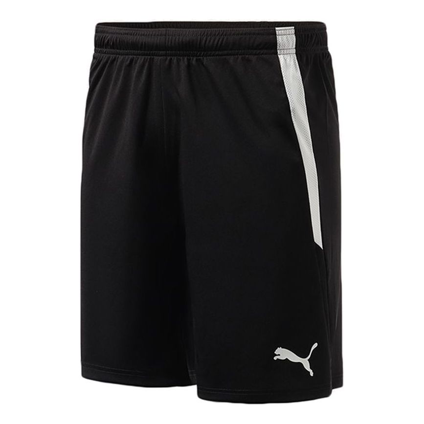 PUMA Team Liga Shorts 'Black' 704924-03