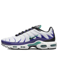 Nike Air Max Plus 'Grape' DM0032-100