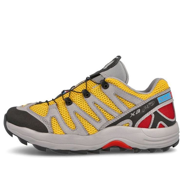 Salomon XA PRO 1 Advanced 'Grey' 414820