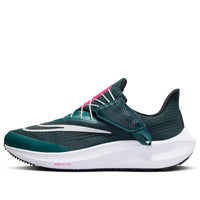 (WMNS) Nike Air Zoom Pegasus 39 FlyEase 'Deep Jungle Metallic Silver' DJ7383-301