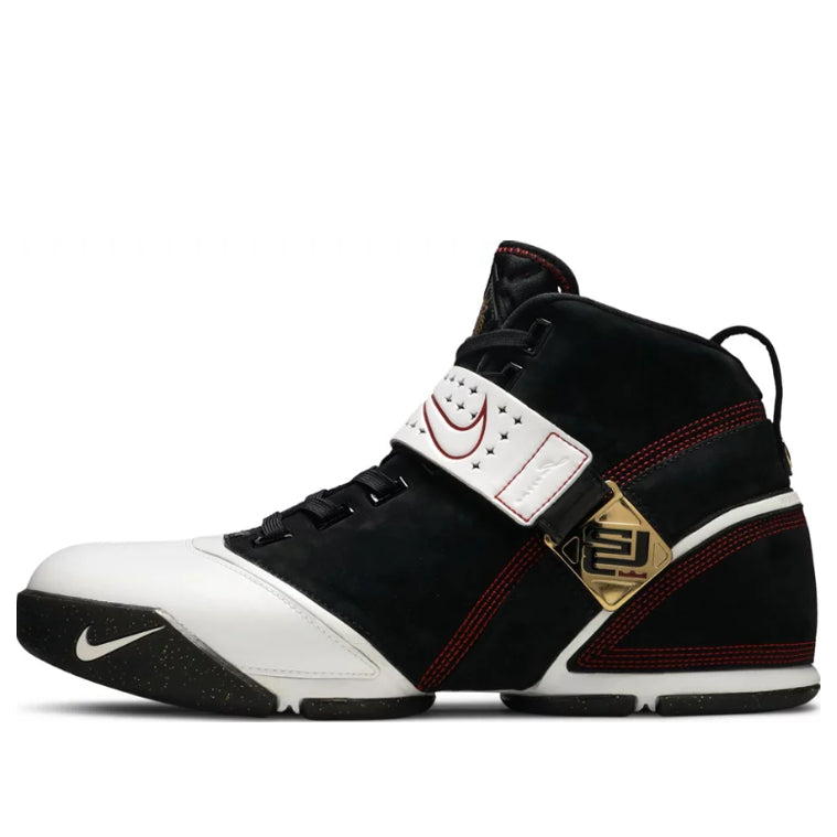 Nike Zoom LeBron 5 'Fearless' 317253-011