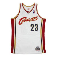 Mitchell & Ness NBA Swingman Jersey 'Cleveland Cavaliers - LeBron James 2003/04' SMJYCP19209-CCAWHIT03LJA