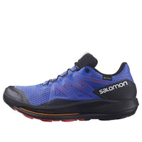 SALOMON Pulsar Trail Gore-Tex 'Blue Black' 416080