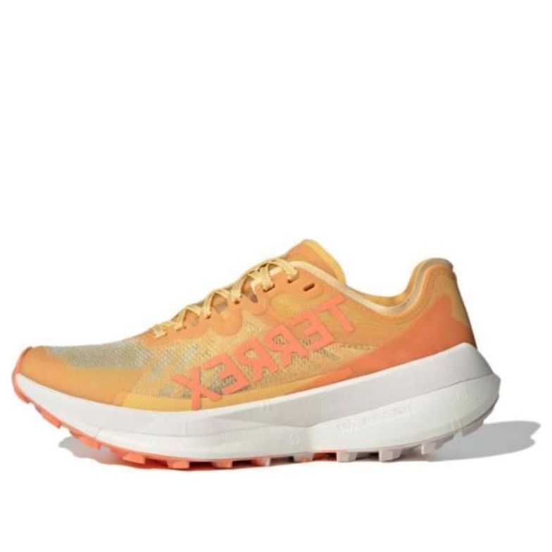 (WMNS) adidas Terrex Agravic Speed 'Semi Spark Putty Mauve' IE7669