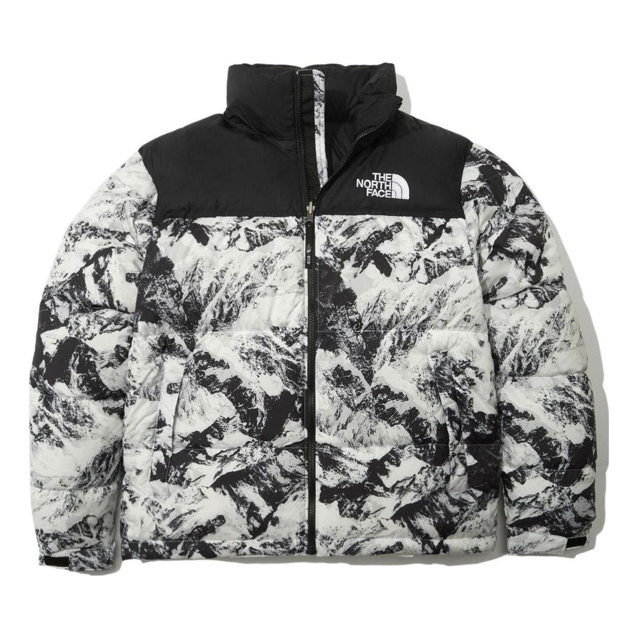 THE NORTH FACE 1996 Novelty Nuptse Jacket 'White' NJ1DN76A